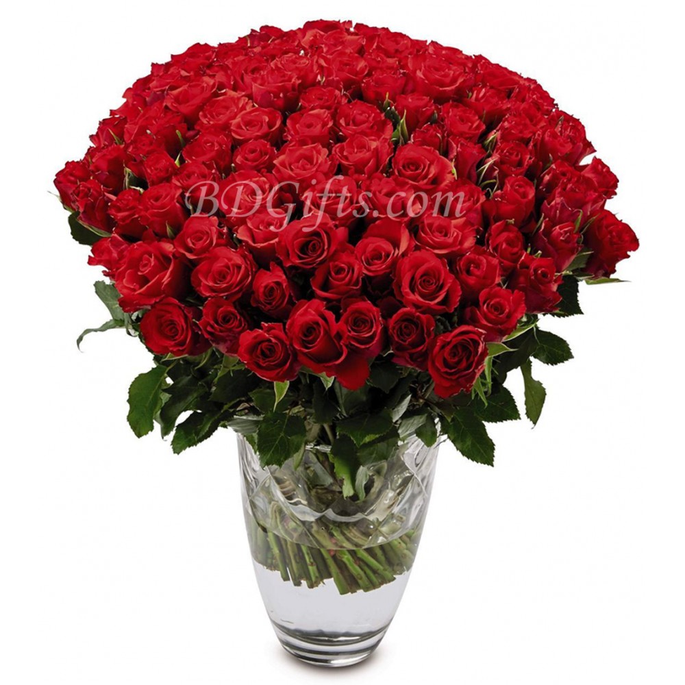 Lovely red roses in a vase