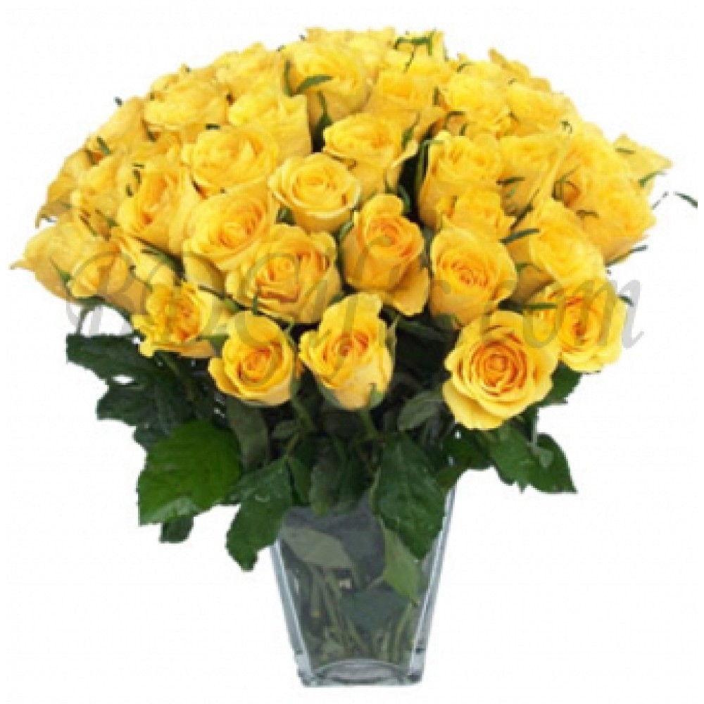 60 pcs imported yellow roses in vase