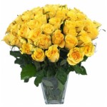 60 pcs imported yellow roses in vase