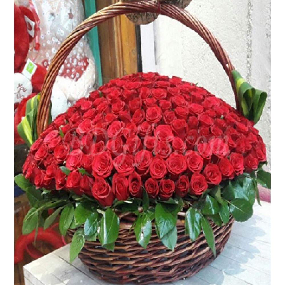 100 pcs red roses in basket