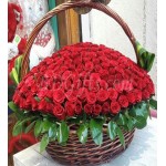 100 pcs red roses in basket