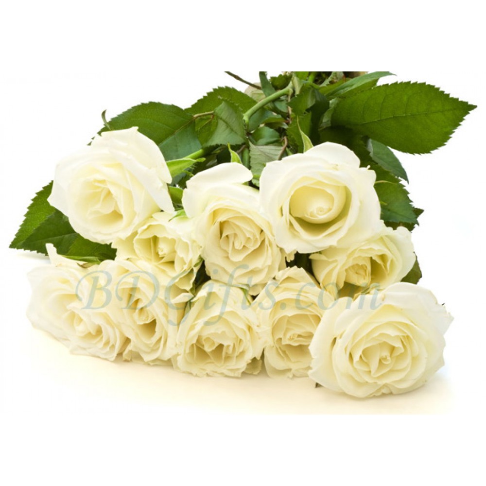 10 pcs imported white roses in bouquet