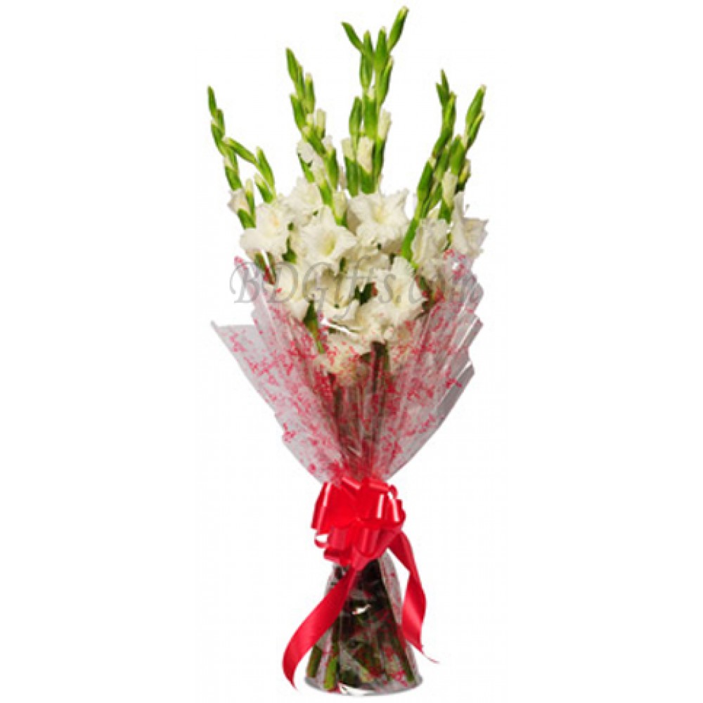 1 Dozen white gladiolus in bouquet
