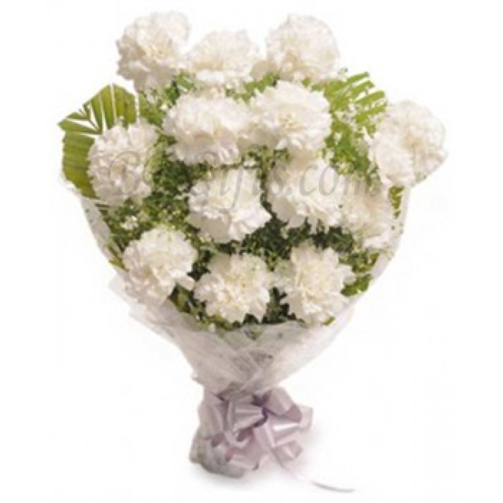 15 pcs white carnation in bouquet
