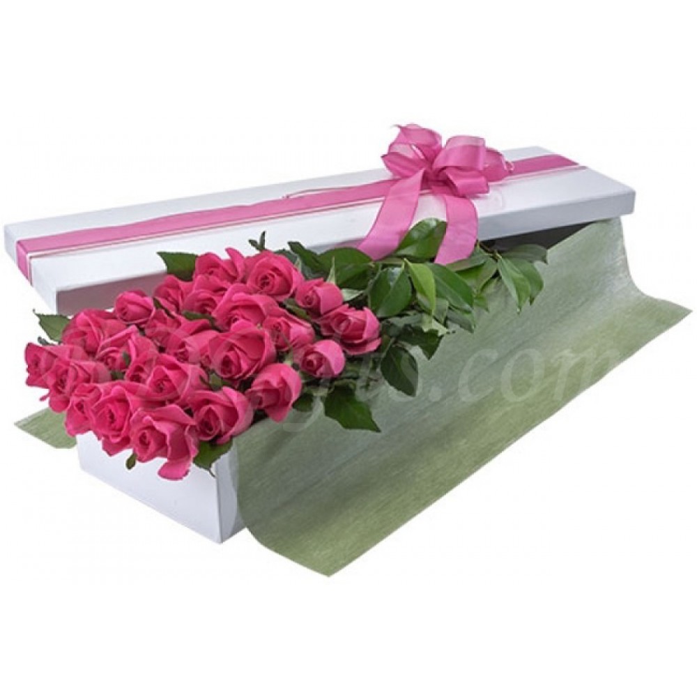 24 pcs imported pink roses in box