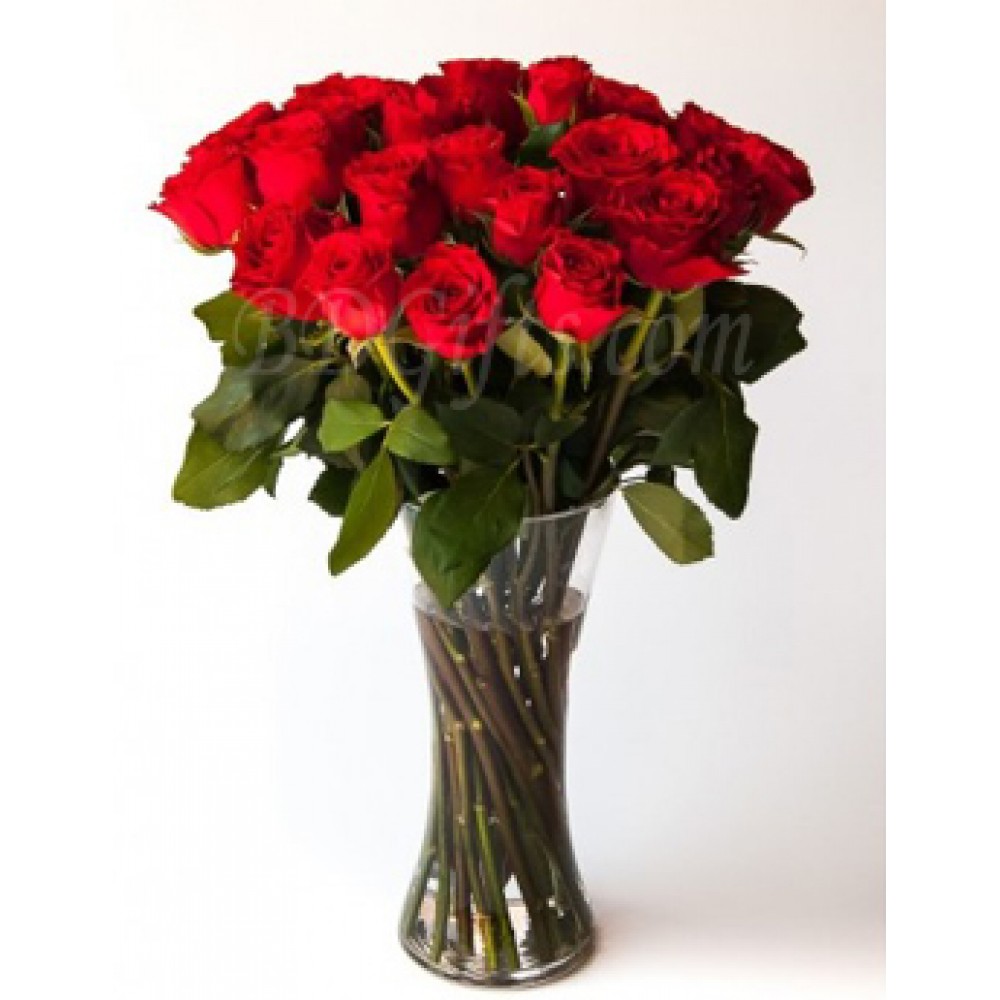 20 pcs red roses in vase