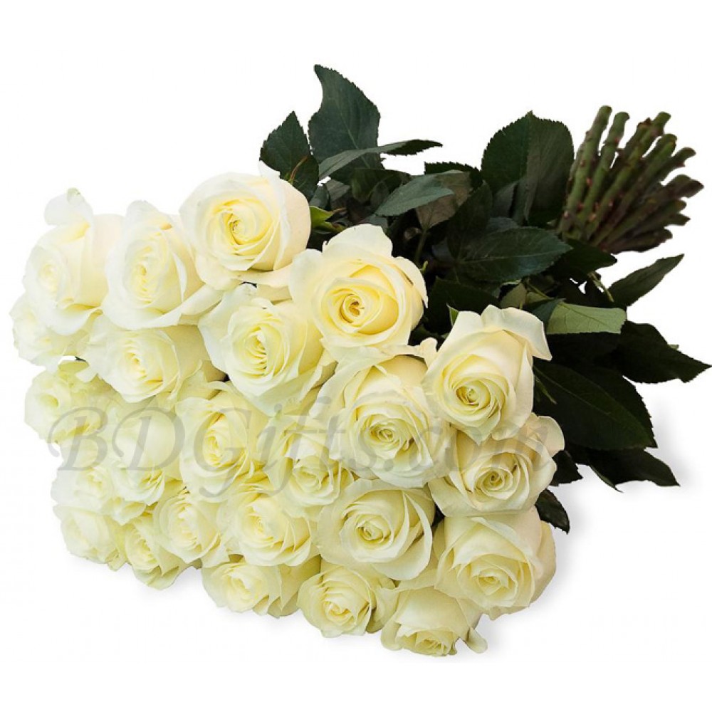 24 pcs imported white roses in bouquet