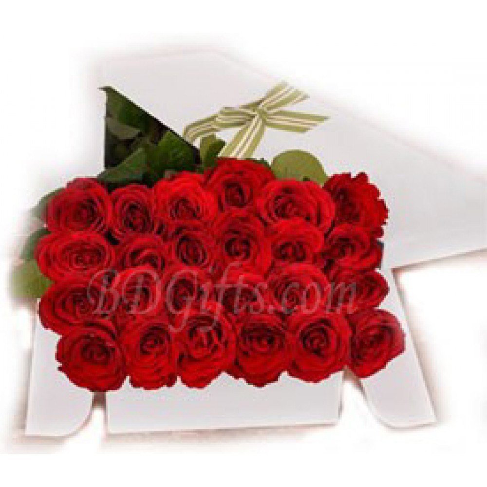 24 pcs red roses in box