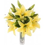 6 pcs yellow lily's in vase