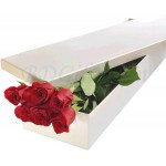 6 pcs red roses in box