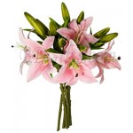 Beautiful Pink lily's 