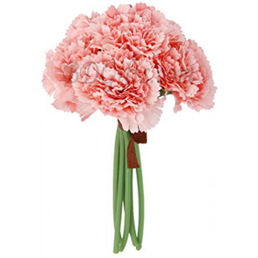 6 pcs pink carnations in bouquet