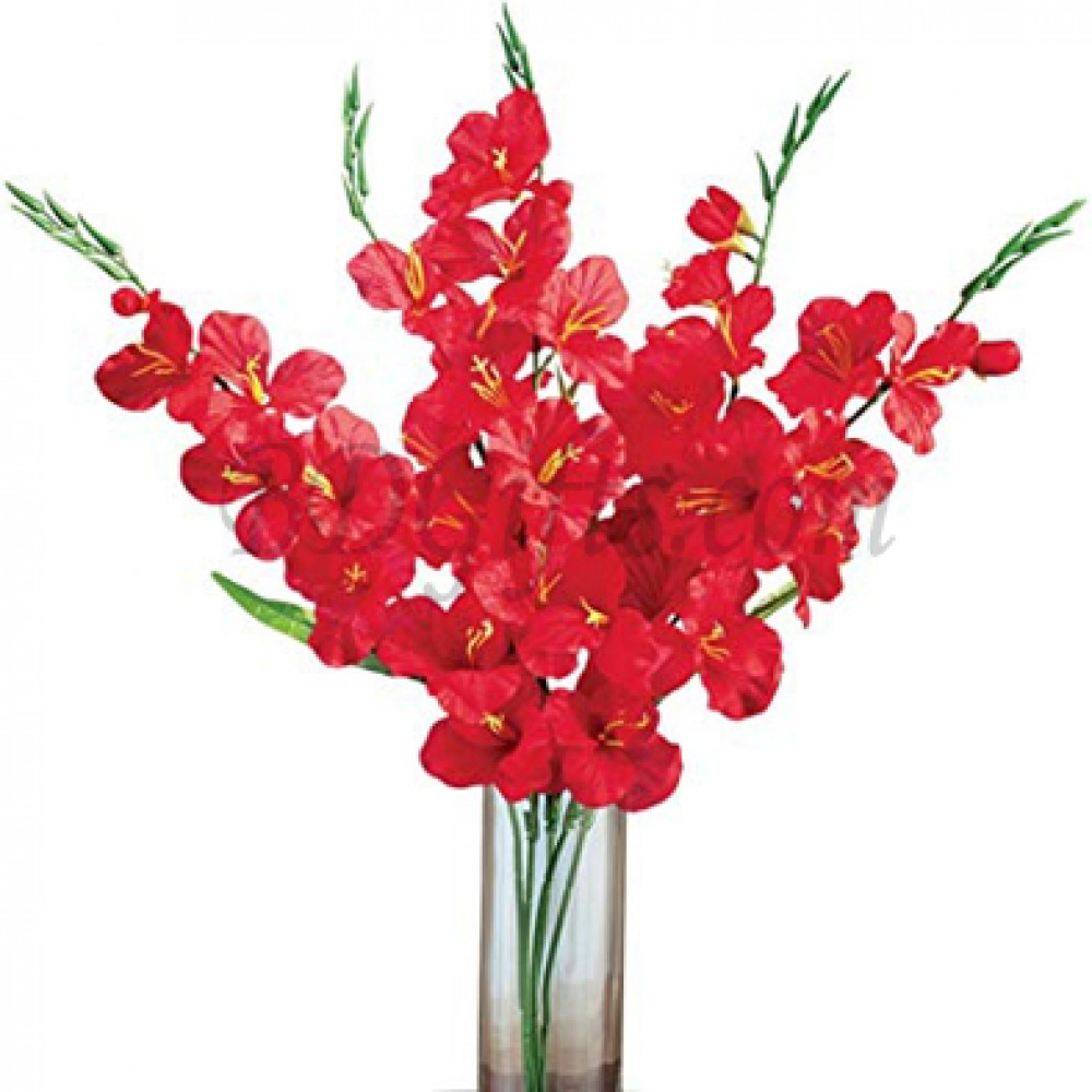 5 pcs red gladiolus in vase