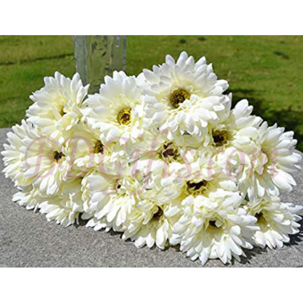 18 pcs white gerberas in bouquet