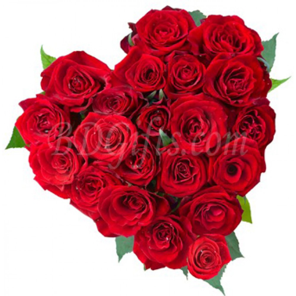20 pcs red roses in heart shape