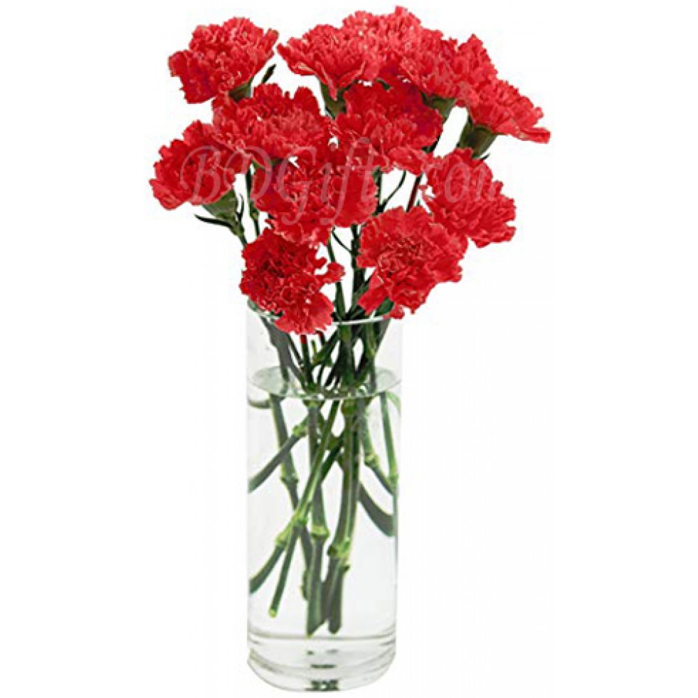 12 pcs red carnations in vase