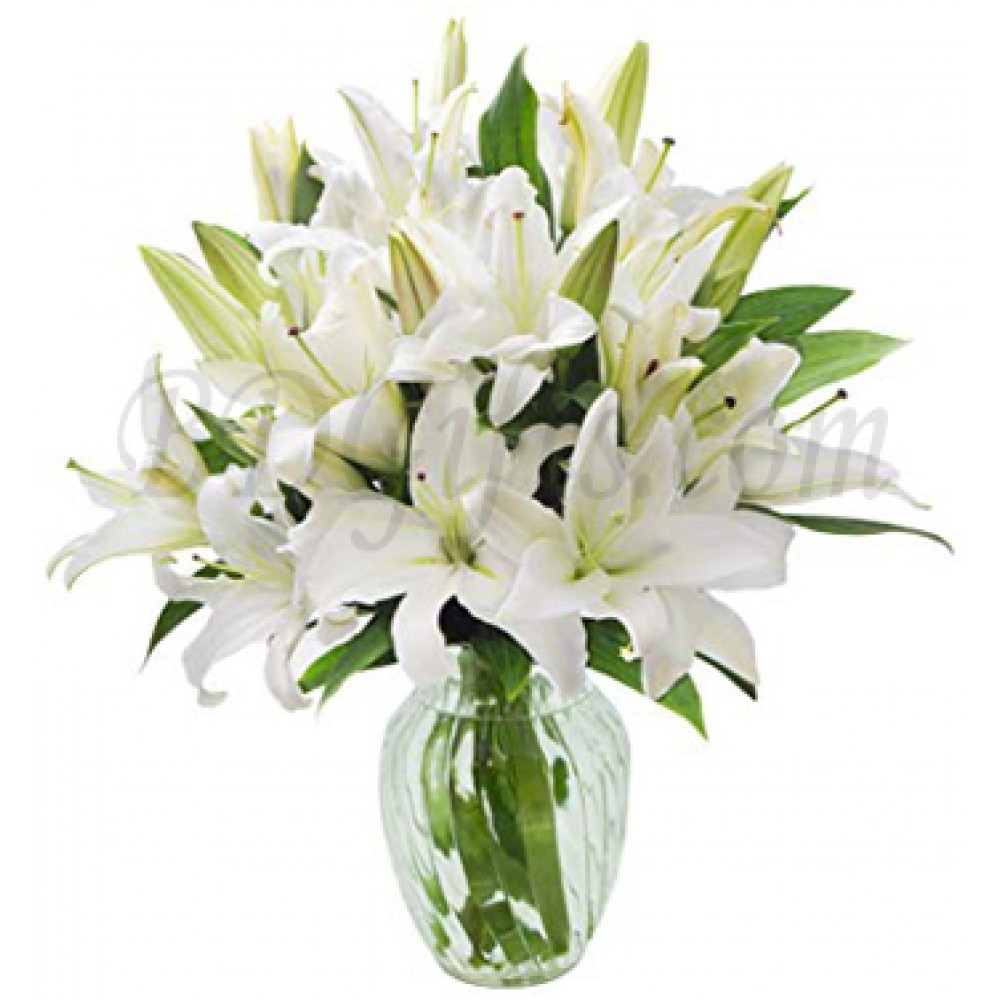 12 pcs white lily's in vase