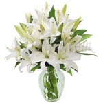 12 pcs white lily's in vase