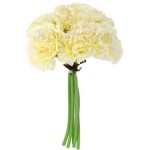 7 pcs white carnations in bouquet