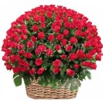 80 pcs red roses in basket