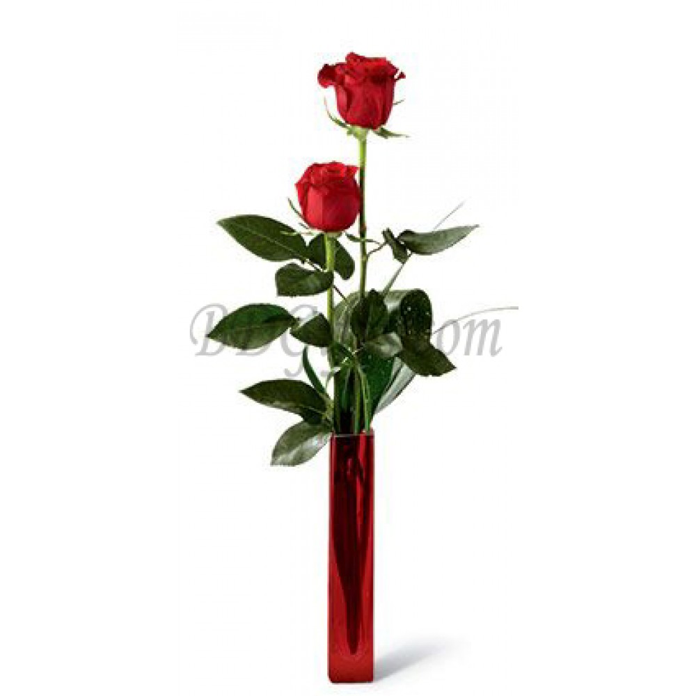 2 pcs red roses in vase