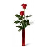 2 pcs red roses in vase