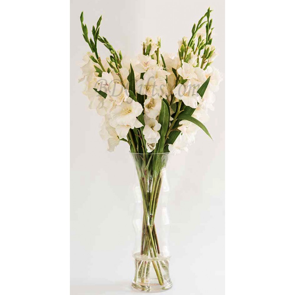 10 pcs white gladiolus in vase
