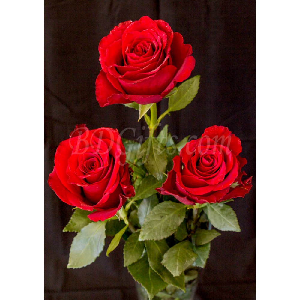 3 pcs red roses in bouquet