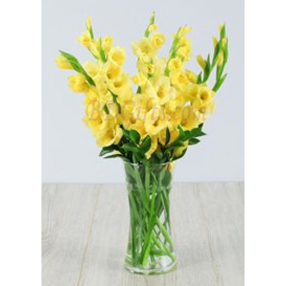 7 pcs yellow gladiolus in vase