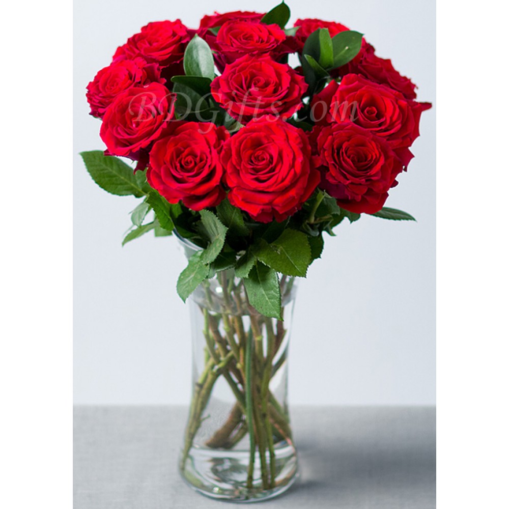 12 pcs red roses in vase