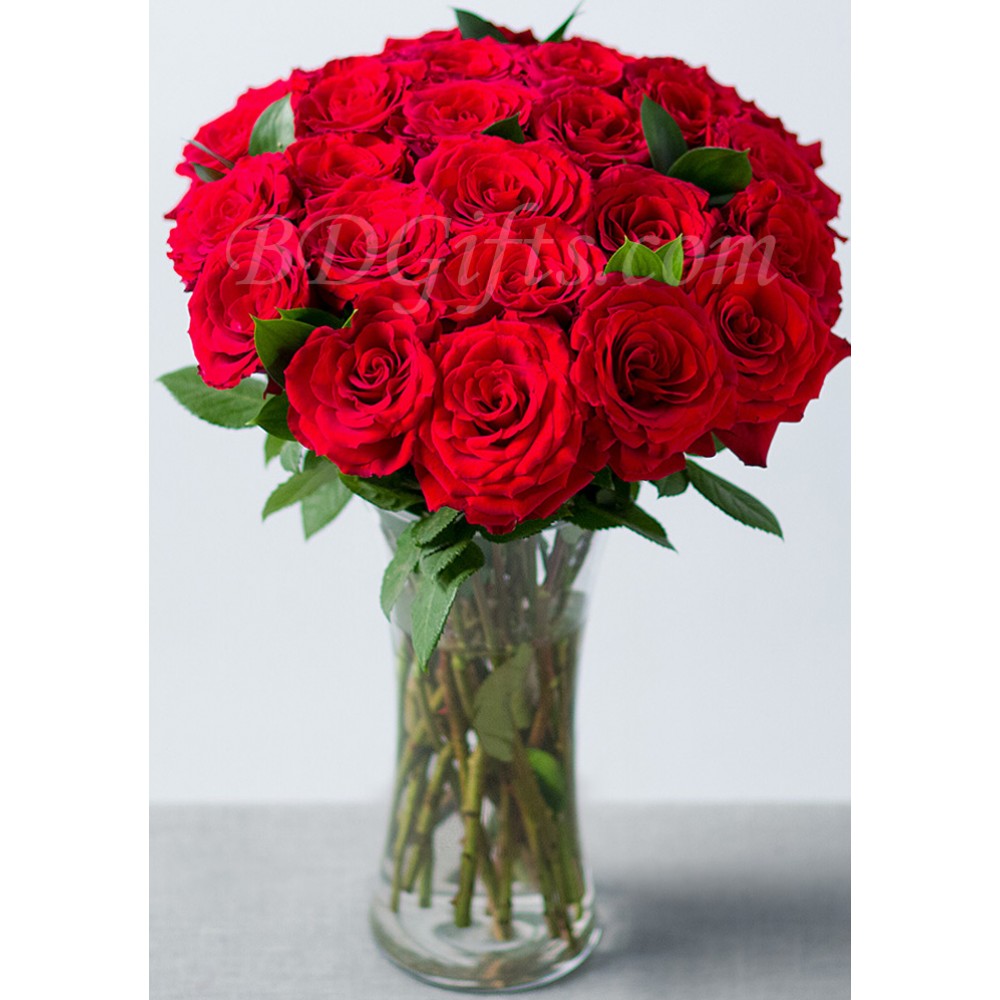 24 pcs red roses in vase