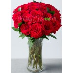 24 pcs red roses in vase