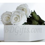3 pcs imported white roses in box