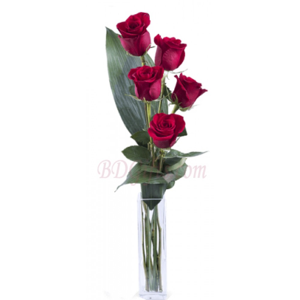 5 pcs red roses in vase