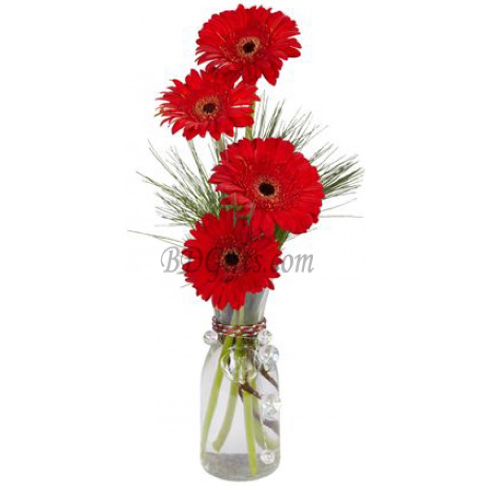 4 pcs red gerbera in vase