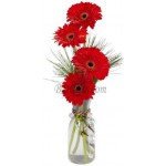 4 pcs red gerbera in vase