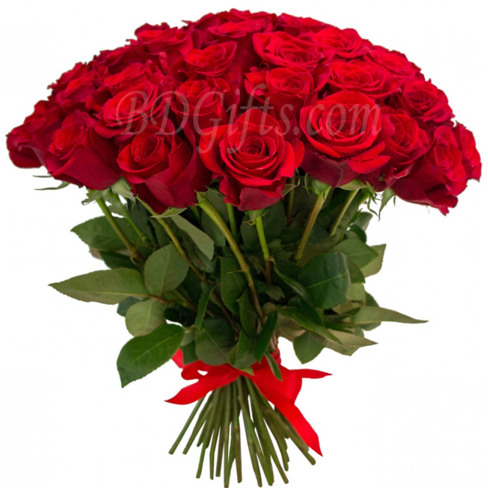 28 pcs fresh red roses in bouquet