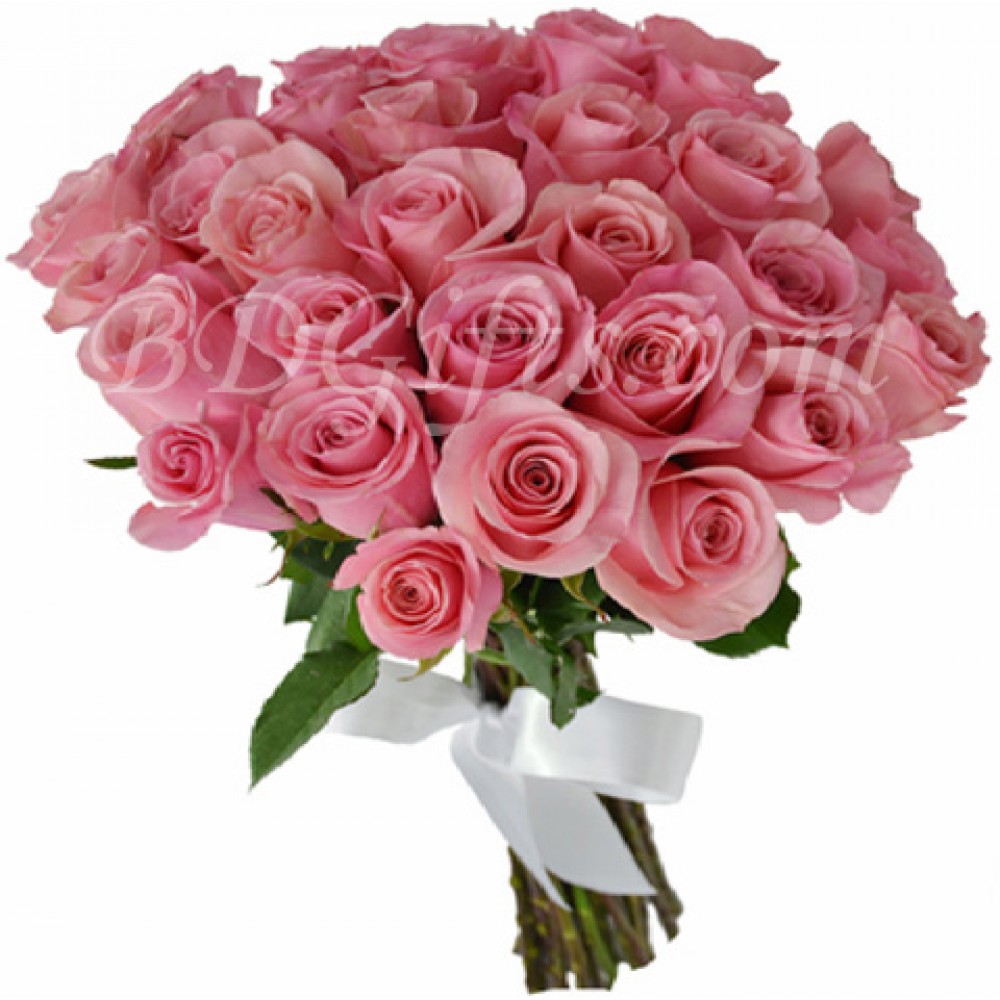 Fresh 30 pcs imported pink roses in a bouquet 