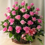 36 pcs imported pink roses in basket