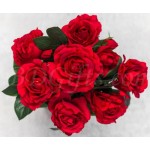 8 pcs red roses in bouquet