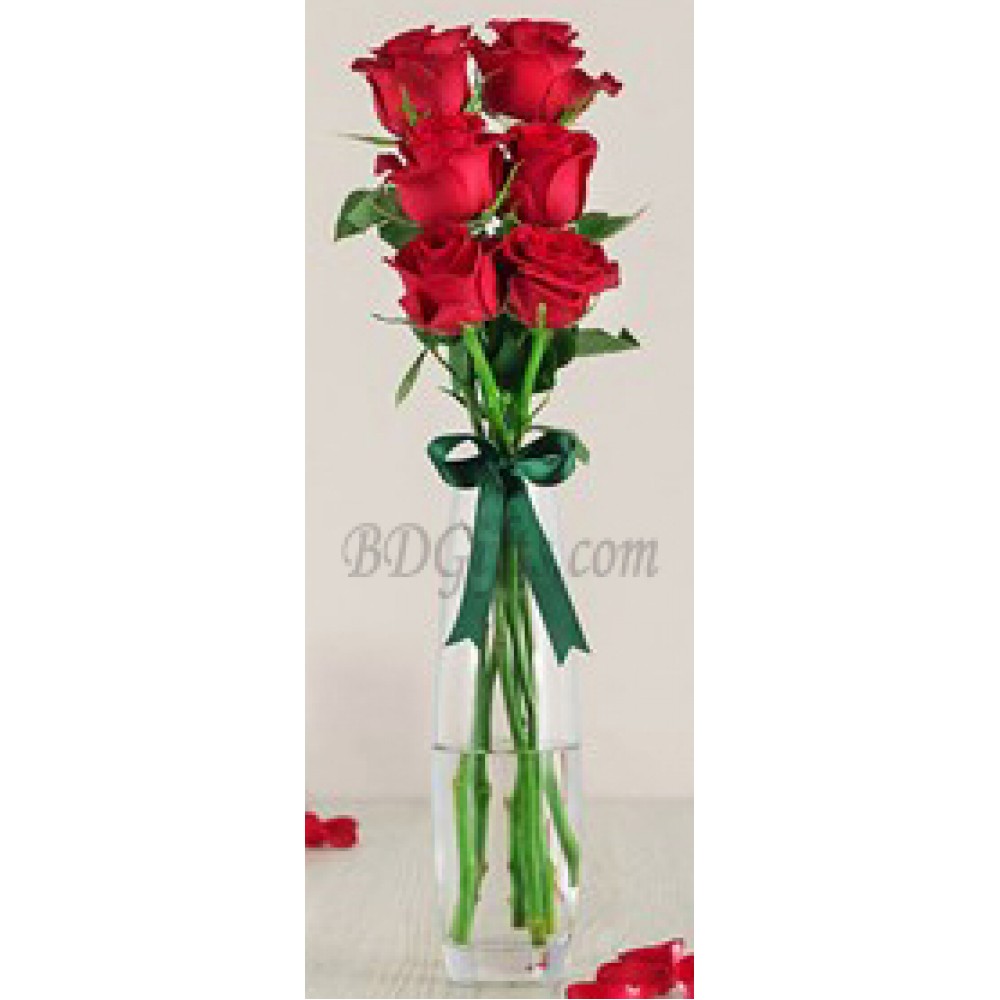 6 pcs red roses in vase