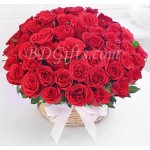 50 pure red roses in a basket