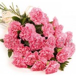 20 pcs pink carnations in bouquet