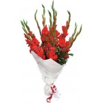 12 pcs red gladiolus in bouquet