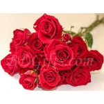 16 pcs red roses in bouquet