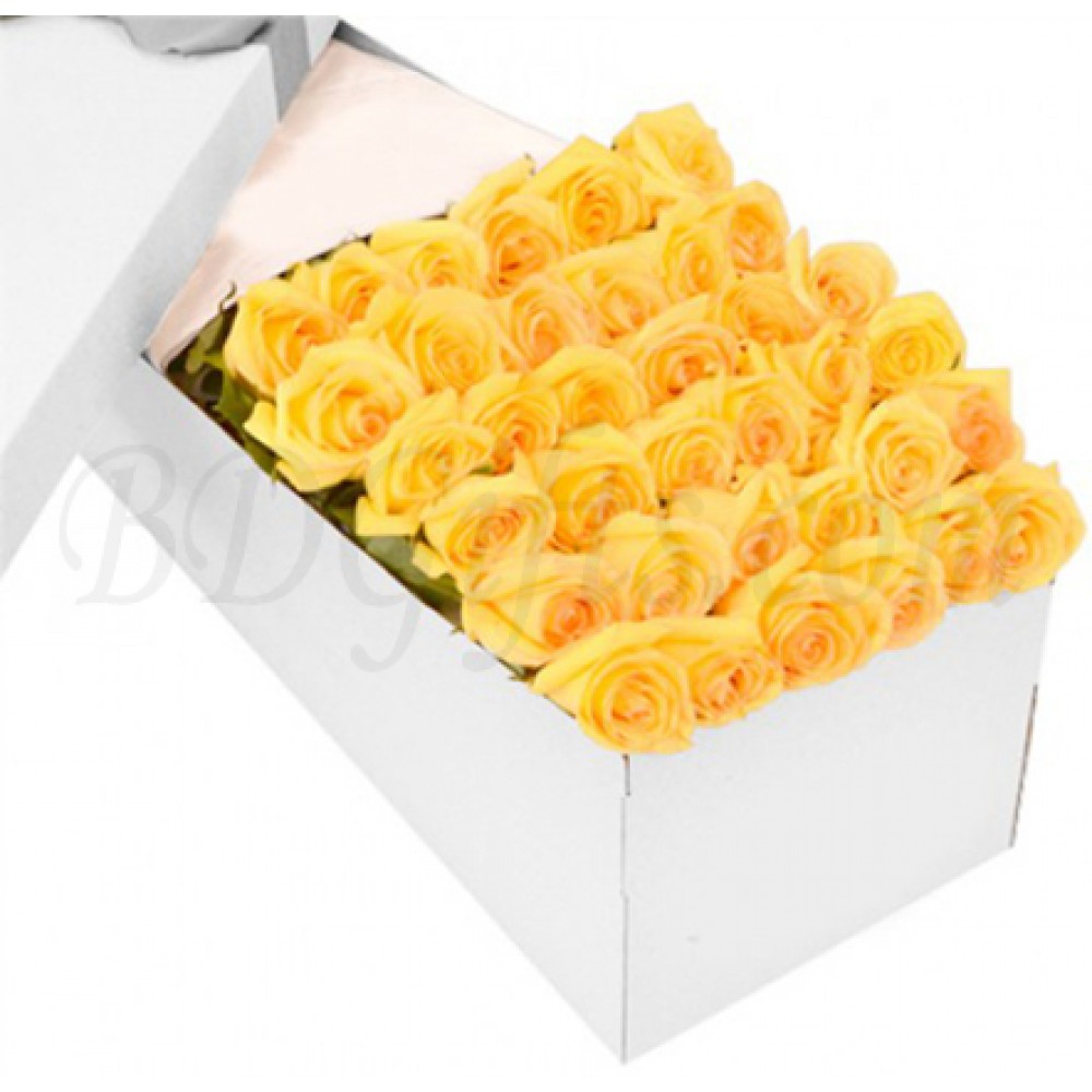 36 pcs imported yellow roses in box