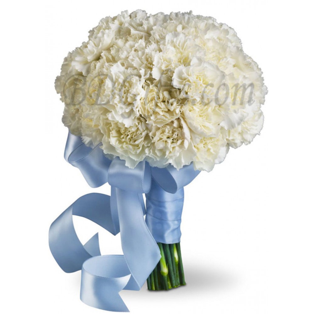 18 pcs white carnations in bouquet