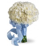 18 pcs white carnations in bouquet