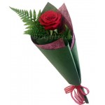 Nicely decoration single red rose