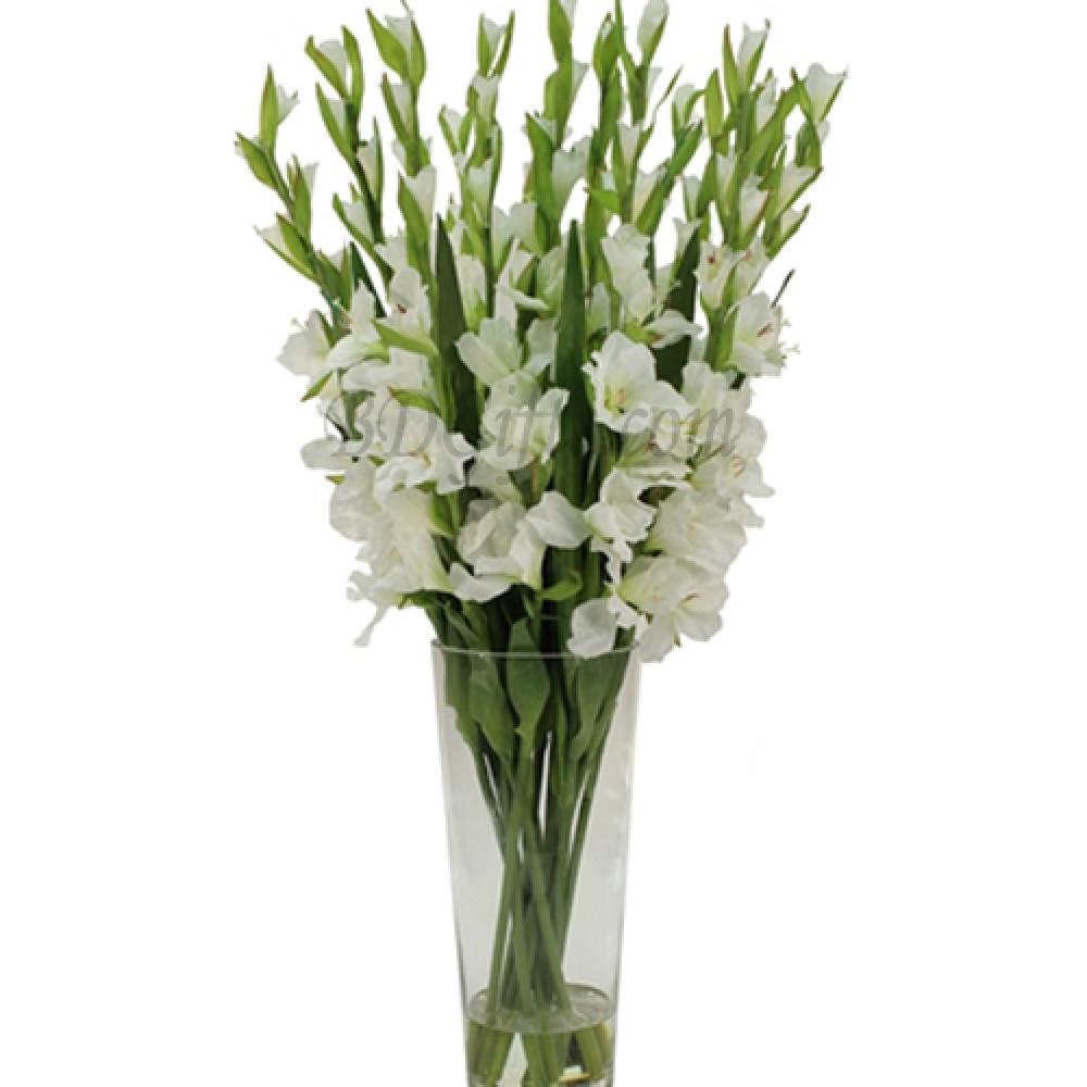 16 pcs white gladiolus in vase